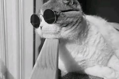 西甲：马竞对阵比利亚雷，黄潜火力西甲第一，马竞主场能否逆袭？